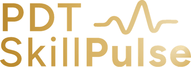 Stellantis Skills Assessment